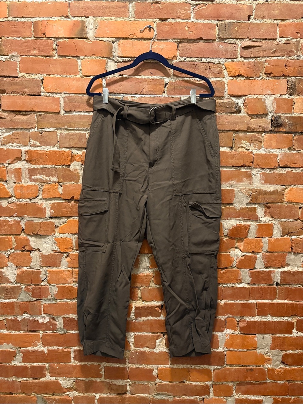 Banana Republic Olive Cargo Pants with Belt